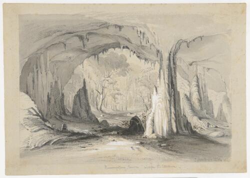 Burrangallong Cavern, view from the entrance [picture] / C. Martens