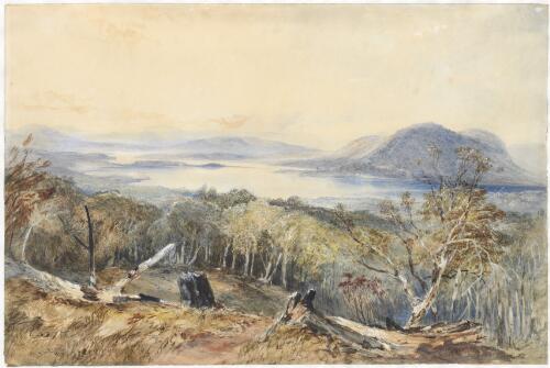 [Scene on the Derwent River, Tasmania] [picture] / J.S. Prout