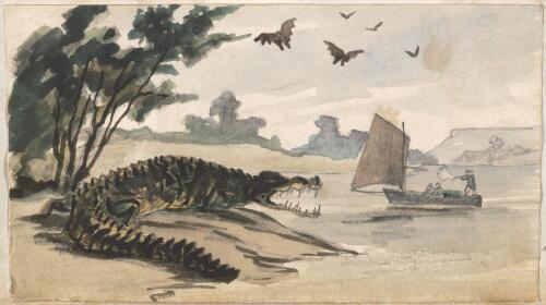 Alligator, Victoria River, Tom Tough aground [picture] / [Thomas Baines]