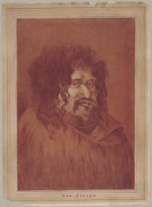 Maori man with bushy hair [picture] / William Hodges