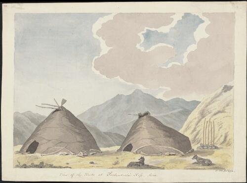 View of the huts at Tschutschi Noss, Asia [picture] / W. Ellis fect