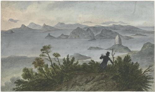 View from the summit of the Cacavada [i.e. Corcovado] Mountains, near Rio de Janeiro [picture] / [Augustus Earle]