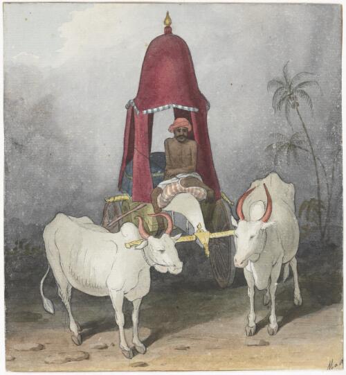 A bullock hackery or cow coach of India [picture] / [Augustus Earle]