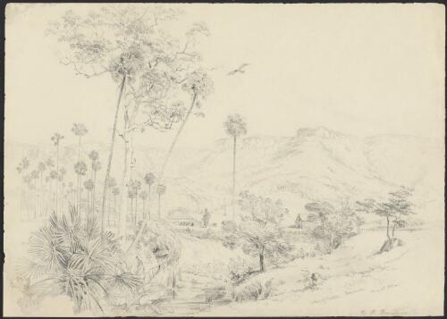 Valley of Dapto, Illawarra, New South Wales, 10 May 1851 [picture] / G.F. Angas