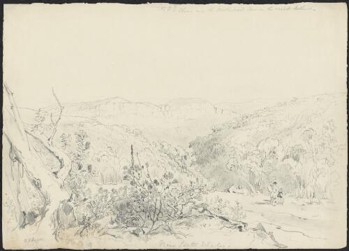 Chasm near the Weatherboard Inn, on the road to Bathurst [picture] / G.F. Angas
