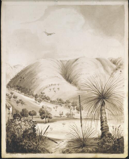 Yattagolinga, Oct. 5, 1850 [picture]