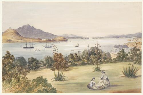 From Govt. House, Auckland, March 22, 1861 [picture] / [Henry James Warre]