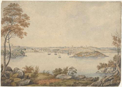 North view of Sydney, taken from the shore, 1819 [picture] / J.L