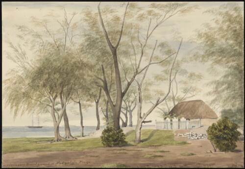 Missionary burial ground at Nukualofa, Tongatabu [picture] / [James Gay Sawkins]