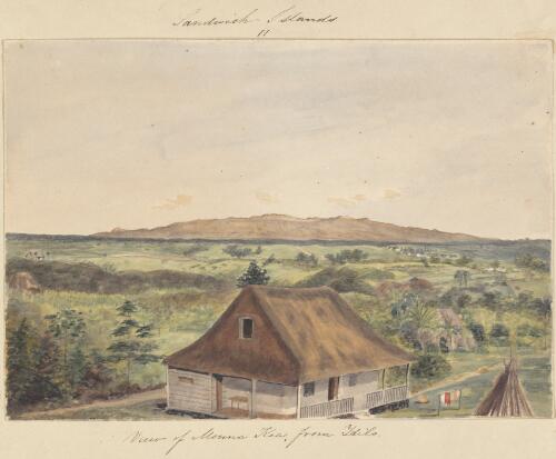 View of Mouna [i.e. Mauna] Kea from B. Pitman's lookout, Hilo, Sandwich Islands [picture] / [James Gay Sawkins]