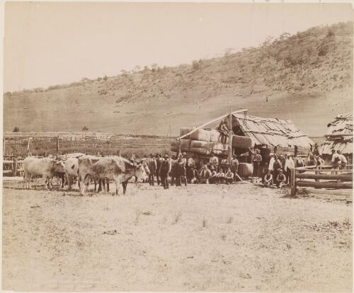 Loading wool at Micalago Station, Michelago, New South Wales, ca. 1900 [picture] / Kerry Photo Sydney