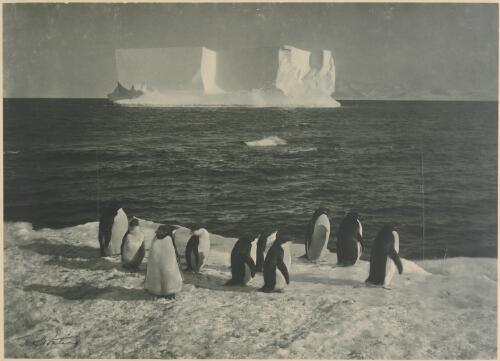 An iceberg off Ross Island [picture] / H. G. Ponting