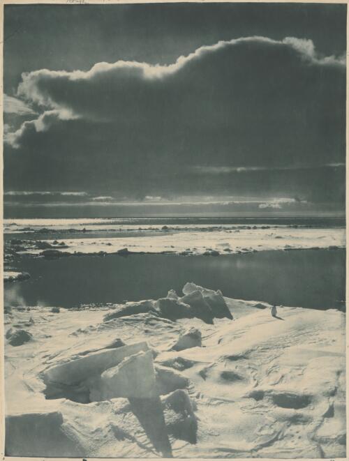 Evening in the ice pack [picture] / H. G. Ponting