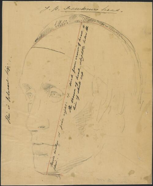 J.P. Fawkner's head [picture] / [William Strutt]