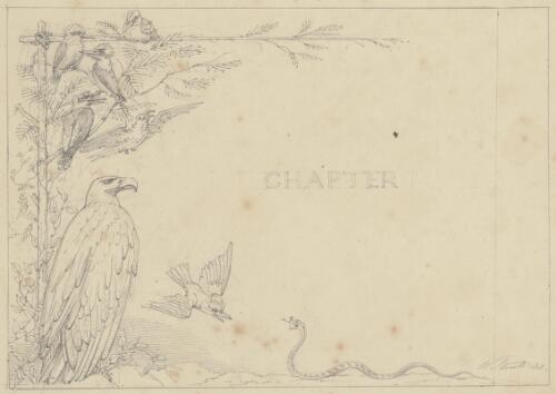 [Illustration for chapter 2 of the artist's story Cooey, or, The trackers of Glenferry] [picture] / W. Strutt del
