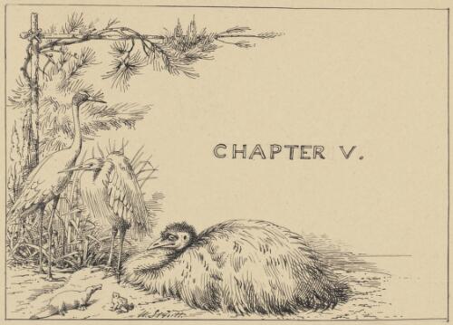 [Illustration for chapter 5 of the artist's story Cooey, or, The trackers of Glenferry] [picture] / W. Strutt