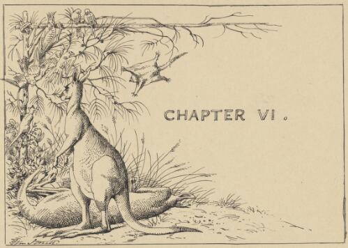 [Illustration for chapter 6 of the artist's story Cooey, or, The trackers of Glenferry] [picture] / Wm. Strutt