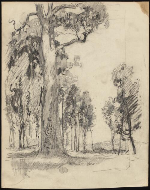 [Trees] [picture] / Lionel Lindsay