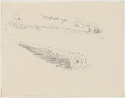 Jake's harvesting log, Ginninderra, 14 November 1926 [picture] / [Eirene Mort]