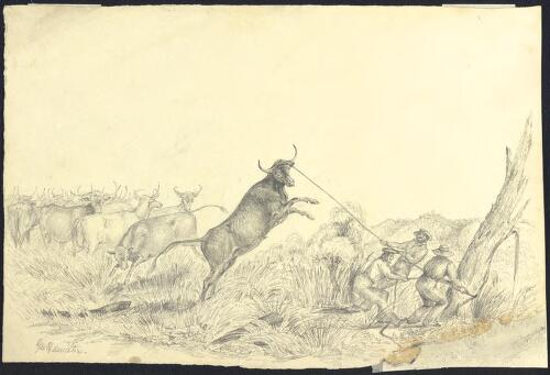 [Cattle on journey from Port Phillip to South Australia] [picture] / Geo. Hamilton