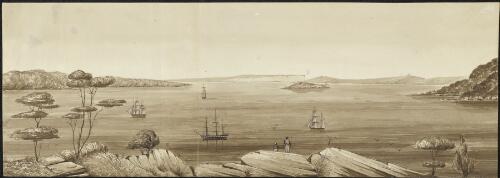 Port Jackson Harbour, New South Wales, ca. 1848 [picture] / by Westmacott