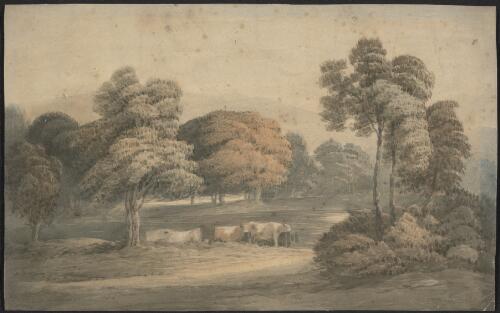 Tasmanian landscape with cattle [picture]