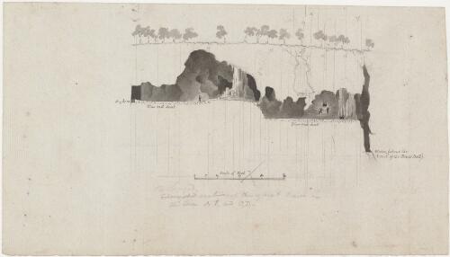 Section of the great cave on the lines AB and CD [picture] / [Thomas Mitchell]