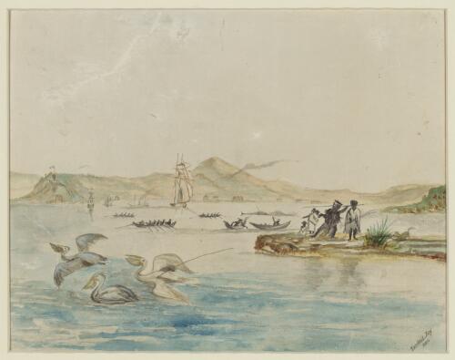 Twofold Bay, 1846 [picture]