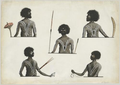 Five half-length portraits of Aborigines [picture] / [Port Jackson Painter]