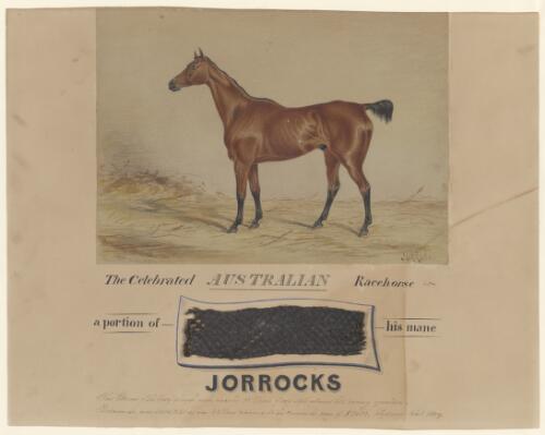 Jorrocks the celebrated Australian racehorse [picture] / Edward Winstanley
