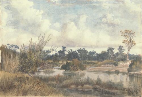 On the Teviot Brook, south Queensland [picture] / Henry Rielly