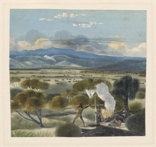 View on the Glenelg plains, near the hills, South Australia [picture] / John M. Skipper
