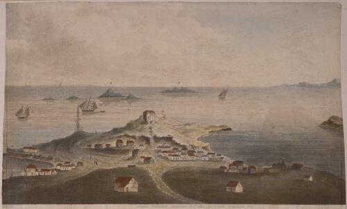 View of Fremantle, Western Australia, from the Canning Road [picture] / [W. Bickley fect.]