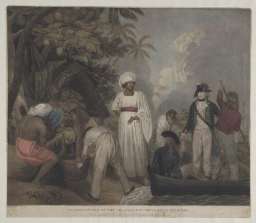 Transplanting of the bread-fruit-trees from Otaheite [picture] / painted and engraved by T. Gosse
