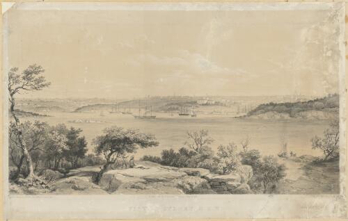 View of Sydney, N.S.W. [picture] / drawn from nature by Conrad Martens, on stone by T. Picken