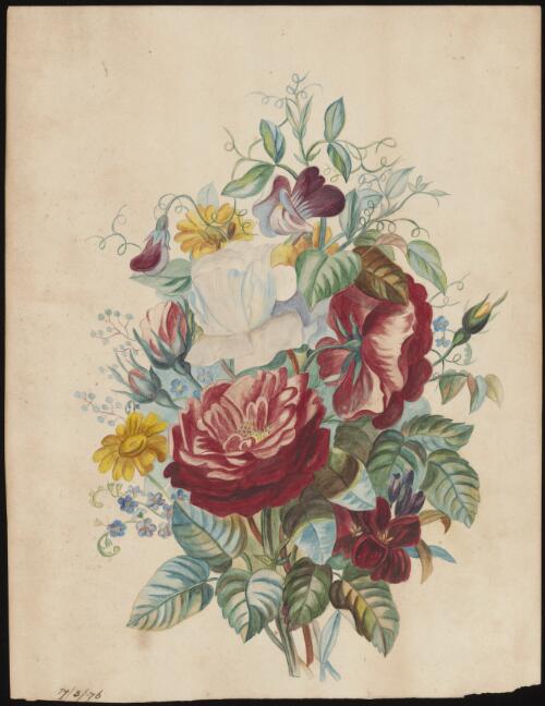 [Flower painting no. 2] [picture] / [S.M.E. Franklin]
