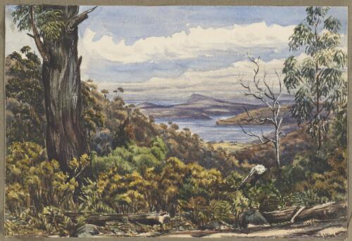 View near Fern Tree Inn [picture] / [H.J. Graham]