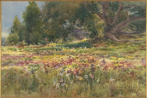 [Flowers in a landscape] [picture] / A.E. Norton