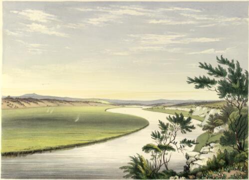 The River Murray, near Lake Alexandrina [picture] / George French Angas; J.W. Giles