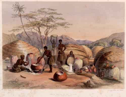 Gudu's kraal at the Tugala, women making beer [picture] / George French Angas del. et lithog
