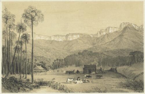 Dapto, Illawarra, New South Wales [picture] / George French Angas del.; Day & Haghe, lithrs. to the Queen