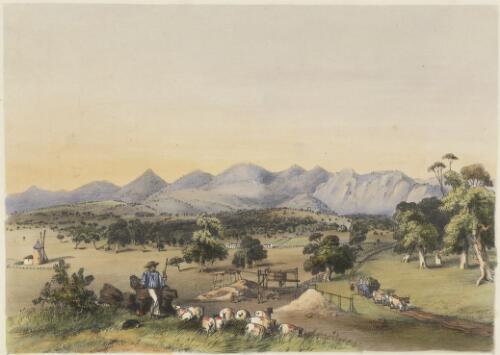 Lynedoch [i.e. Lyndoch] Valley, looking towards the Barossa Range [picture] / from nature and on stone by G.F. Angas
