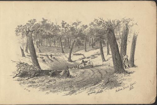 Road in Black Forest, 1852 [picture] / S.T.G