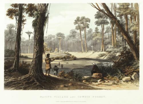 Native village and cowdie [i.e. Kauri] forest [picture] / [after Augustus Earle]