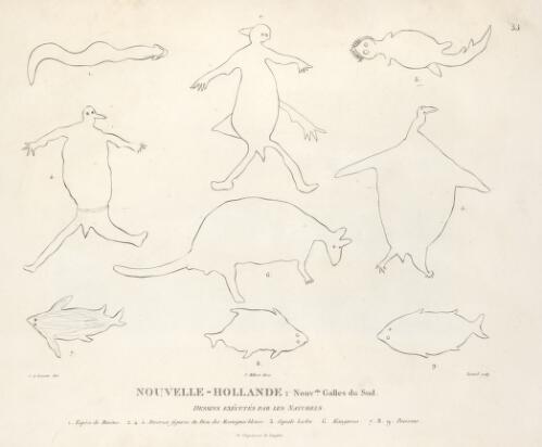 Nouvelle-Hollande, Nouvelle Galles du Sud, dessins executes par les naturels [picture] / C.A. Lesueur del.; Testard sculp.; J. Milbert direx