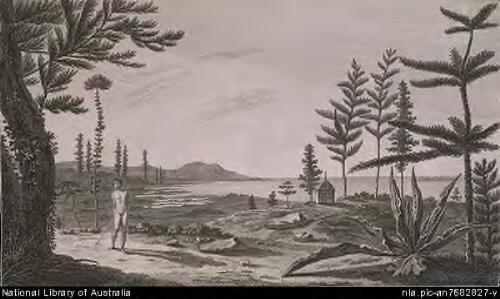 View in the Island of Pines [picture] / drawn from nature by W. Hodges; engrav'd by W. Byrne
