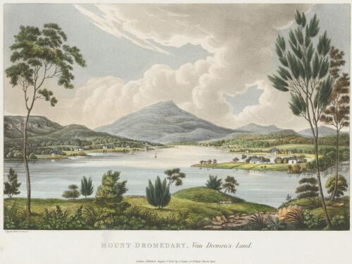 Mount Dromedary, Van Diemen's Land [picture] / J. Lycett delt. et execut