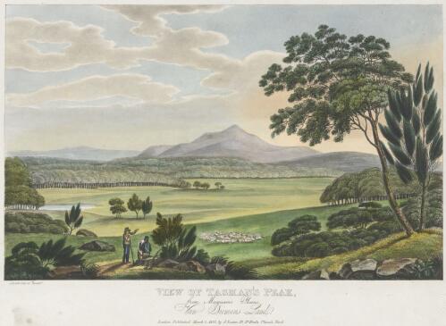 View of Tasman's Peak, from Macquarie Plains, Van Diemen's Land [picture] / I. Lycett, Delt et. Execut