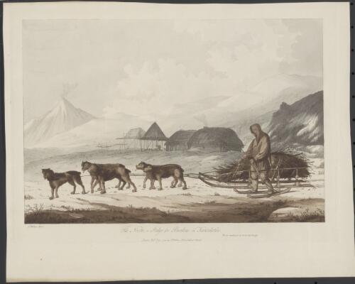 The narta, or sledge for burdens in Kamtchatka [picture] / J. Webber fecit