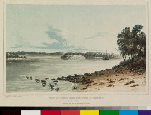 View of inner harbour, Port Essington, from Spear Point [picture] / from a sketch by P.P. King